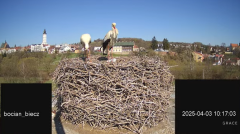 2025-04-03 20_57_37-(1) Bociany Biecz - YouTube - Maxthon.png