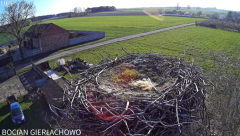 2025-04-03 21_07_07-(1) Bocian Gierłachowo 2025 - YouTube - Maxthon.png