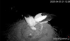 IMG_2149.jpeg