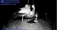 IMG_2920.jpeg