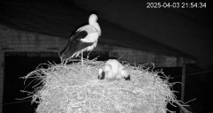 IMG_2897.jpeg
