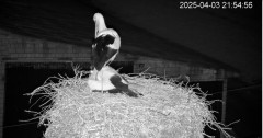 IMG_2900.jpeg