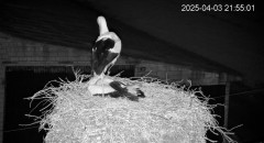 IMG_2902.jpeg