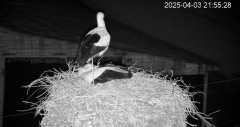 IMG_2905.jpeg
