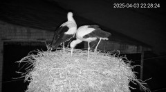 IMG_2941.jpeg