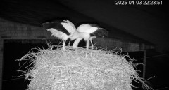 IMG_2943.jpeg