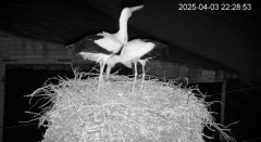 IMG_2944.jpeg