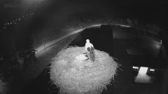 IMG_2948.jpeg