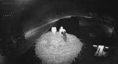 IMG_2957.jpeg