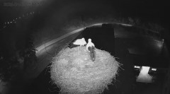 IMG_2959.jpeg
