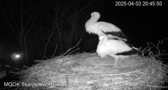 IMG_2960.jpeg