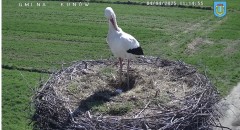 IMG_3025.jpeg