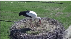 IMG_3034.jpeg