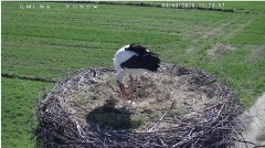 IMG_3035.jpeg