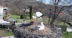 IMG_3084.jpeg