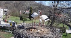 IMG_3085.jpeg