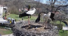 IMG_3087.jpeg