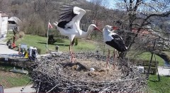 IMG_3088.jpeg
