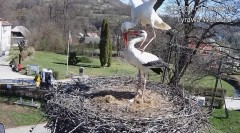 IMG_3091.jpeg