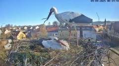 IMG_3098.jpeg