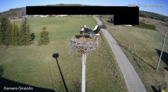 IMG_3005.jpeg