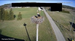 IMG_3006.jpeg