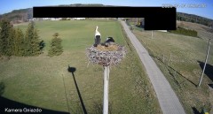 IMG_3013.jpeg
