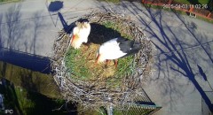 IMG_2839.jpeg
