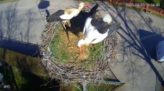 IMG_2840.jpeg