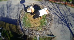 IMG_2842.jpeg