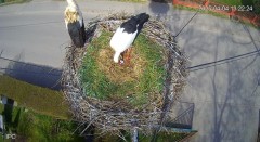 IMG_3122.jpeg