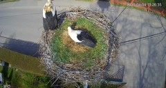 IMG_3123.jpeg