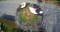 IMG_3129.jpeg