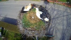 IMG_3131.jpeg