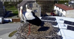 IMG_3116.jpeg