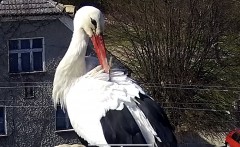 IMG_3146.jpeg