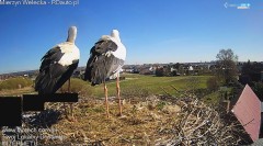 IMG_2997.jpeg