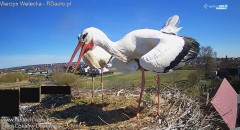 IMG_3071.jpeg