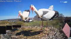 IMG_3072.jpeg