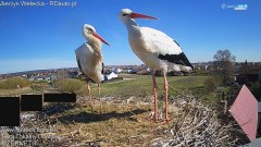 IMG_3074.jpeg