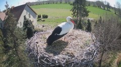 IMG_3027.jpeg
