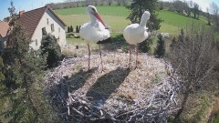 IMG_3064.jpeg