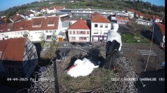 IMG_5451.jpeg