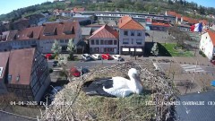 IMG_5472.jpeg