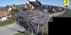 IMG_2992.jpeg