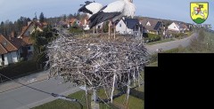 IMG_3188.jpeg
