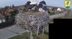 IMG_3189.jpeg
