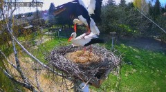 IMG_3171.jpeg