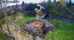 IMG_3173.jpeg