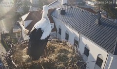 IMG_5435.jpeg